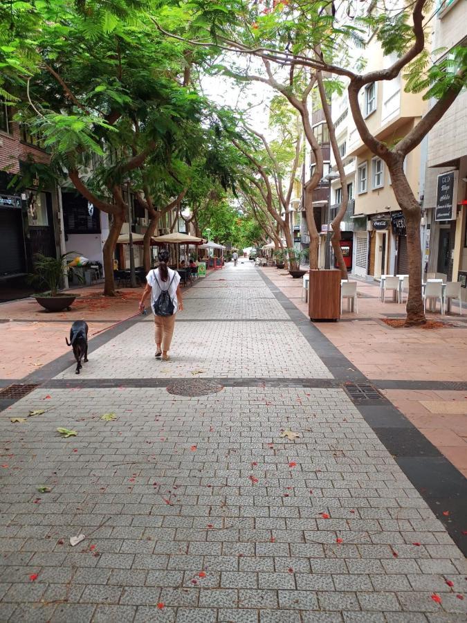 Center Santa Cruz, Alojamiento Centrico Con Gran Terraza, Cocina , Salon Y Banos, Todo Privado Extérieur photo